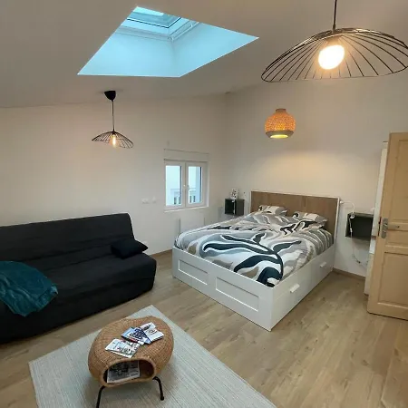 Zenith Spacious Studio In A Central And Quiet Area Near Basel Saint-Louis (Haut-Rhin)