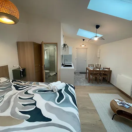 Apartment Zenith Spacious Studio In A Central And Quiet Area Near Basel