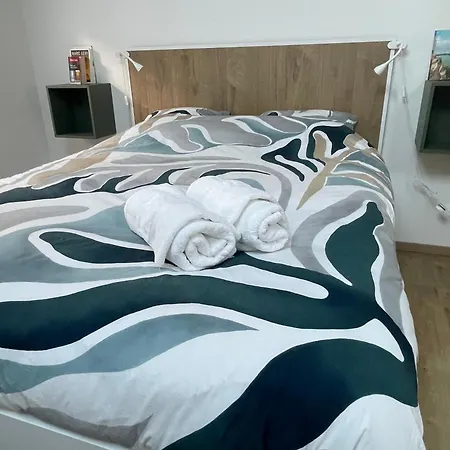 Apartment Zenith Spacious Studio In A Central And Quiet Area Near Basel *